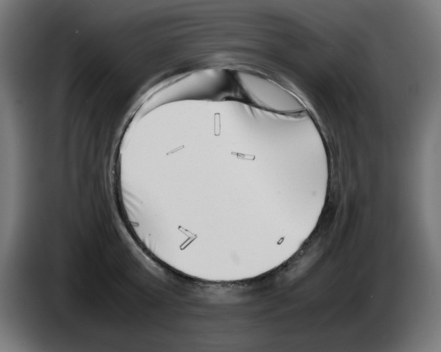 X0000083030803200703022025