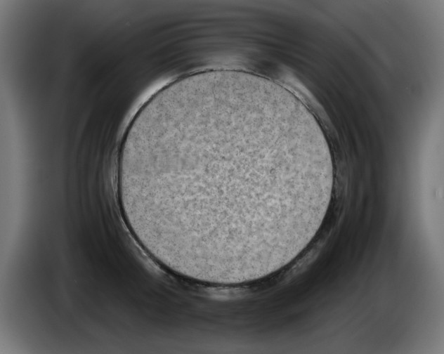 X0000083030804200703022025