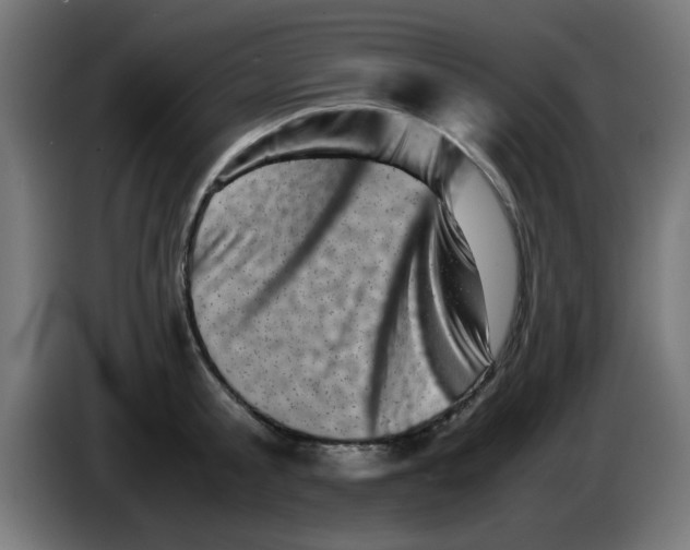 X0000083030805200703022025