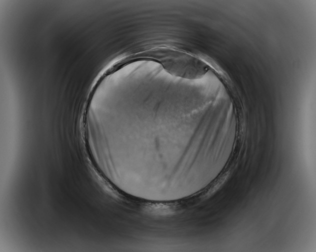 X0000083030806200703022025