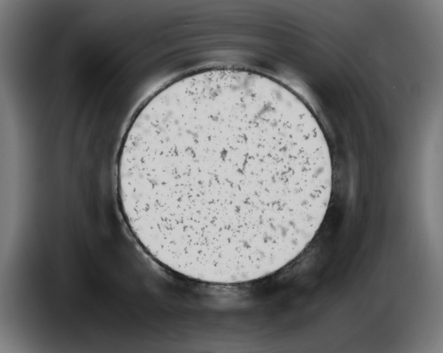 X0000083030807200703022025