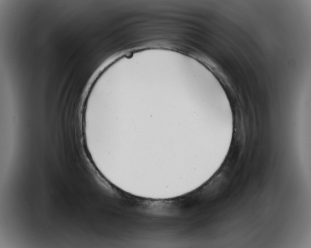 X0000083030808200703022025