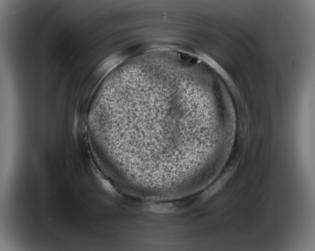 X0000083030809200703022025