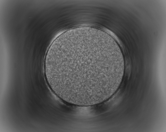 X0000083030810200703022025