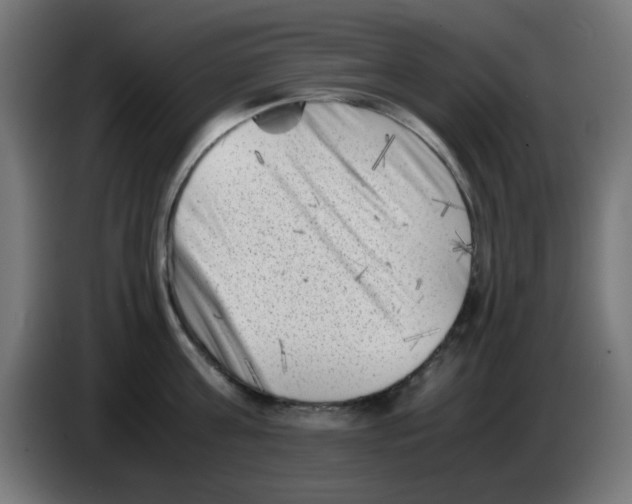 X0000083030811200703022025