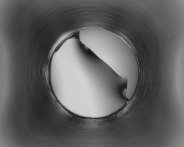 X0000083030812200703022025