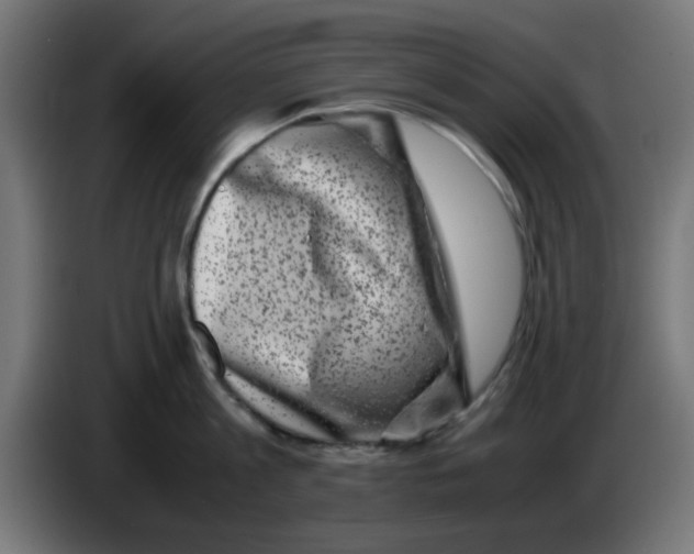 X0000083030813200703022025