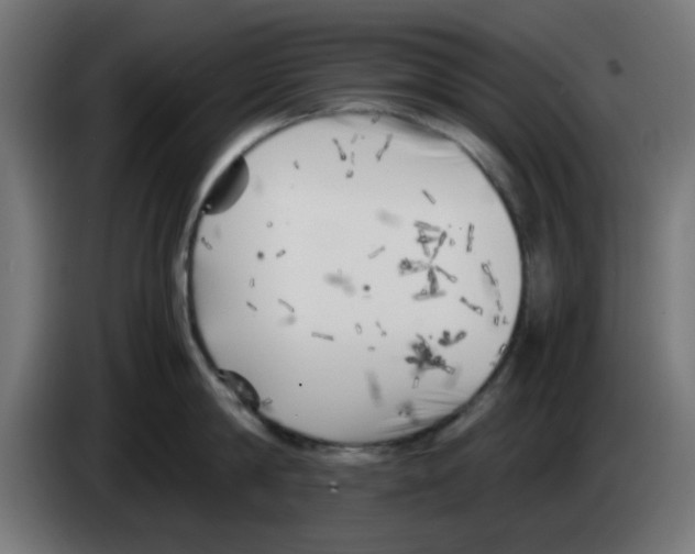 X0000083030814200703022025