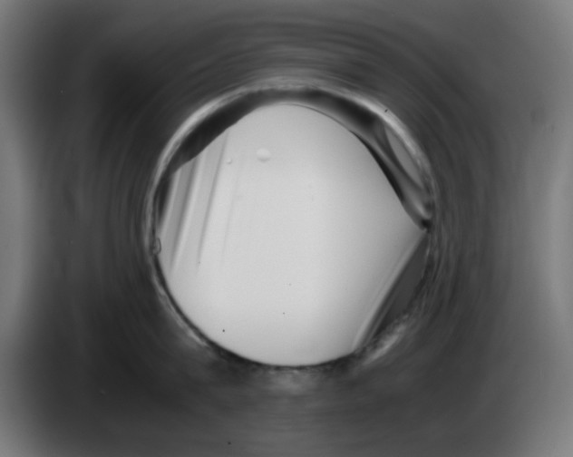 X0000083030815200703022025