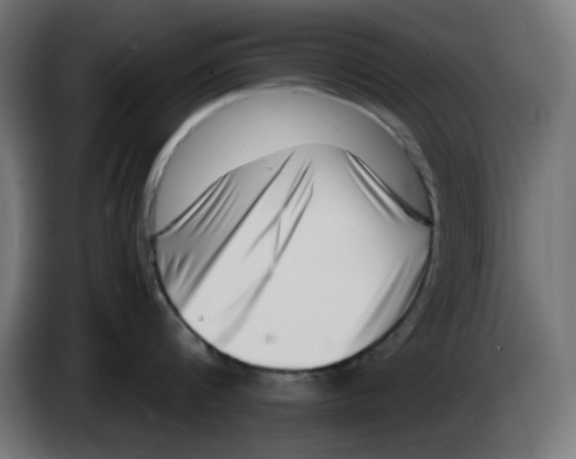 X0000083030816200703022025