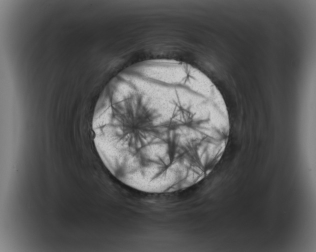 X0000083030817200703022024