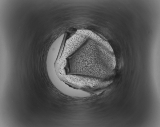 X0000083030818200703022024