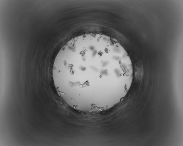 X0000083030819200703022024