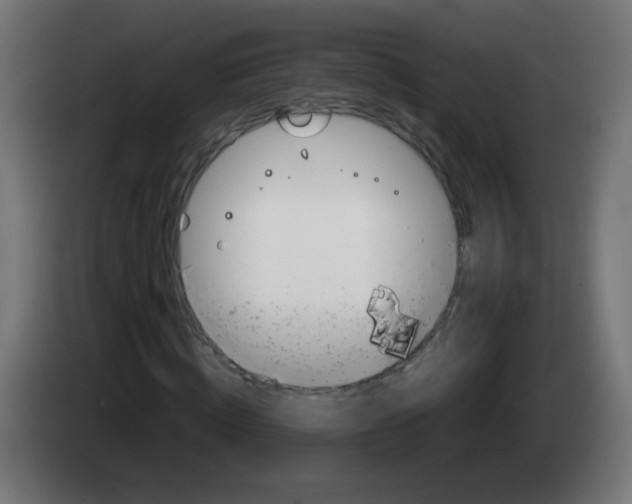 X0000083030820200703022024