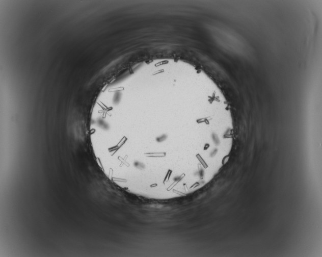 X0000083030821200703022024