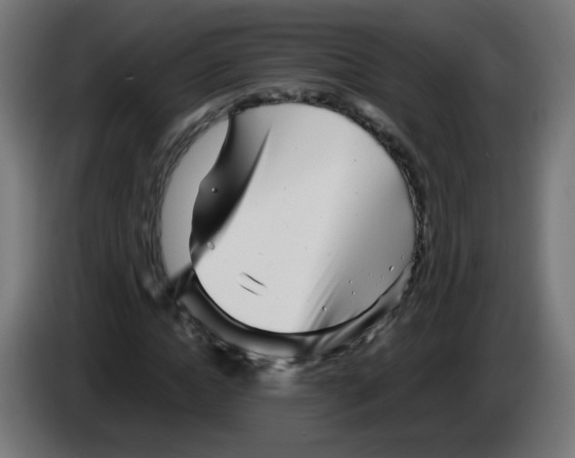 X0000083030822200703022024