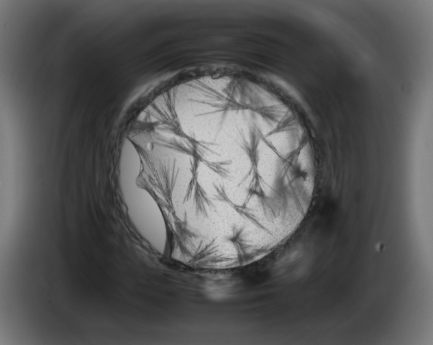 X0000083030823200703022024