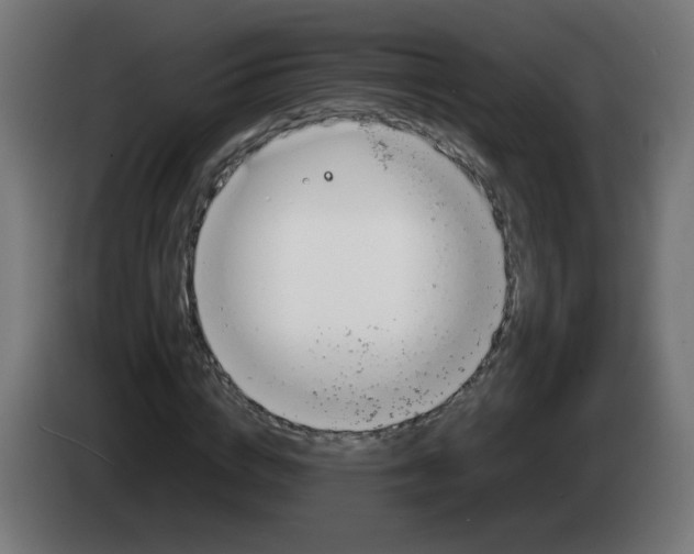 X0000083030824200703022024