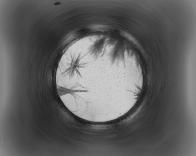 X0000083030825200703022024