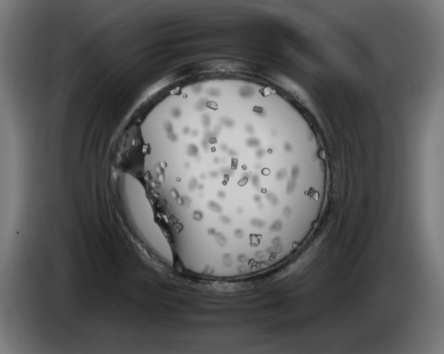 X0000083030827200703022024