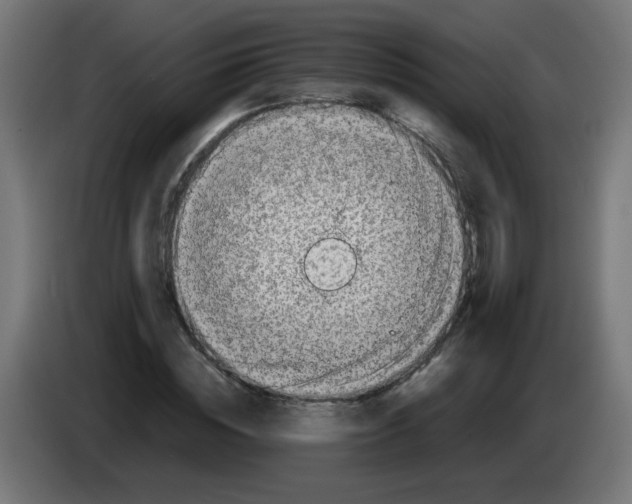 X0000083030828200703022024