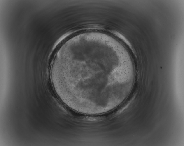 X0000083030829200703022024