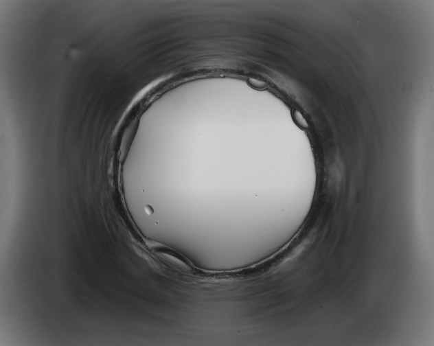 X0000083030830200703022024