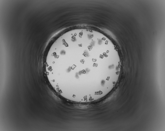 X0000083030831200703022024