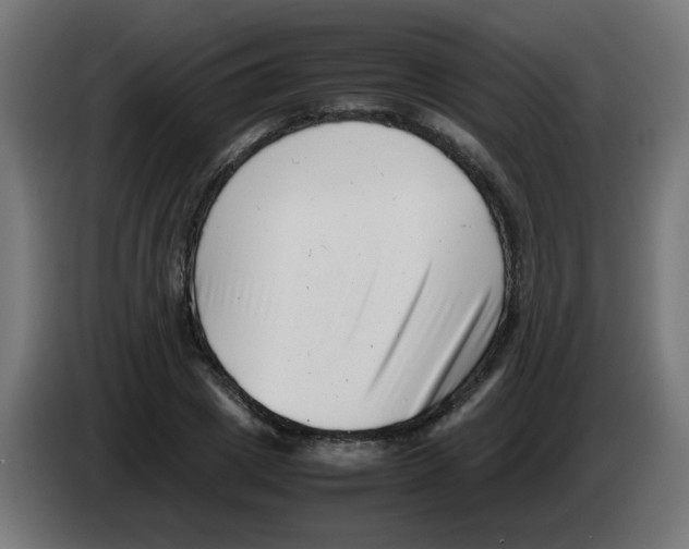 X0000083030833200703022024