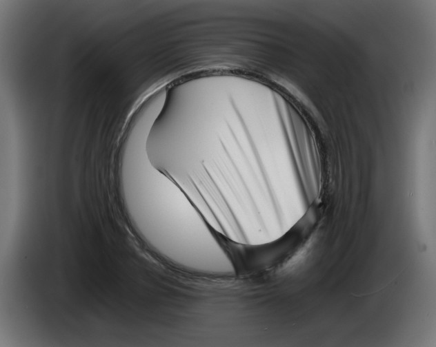 X0000083030834200703022024