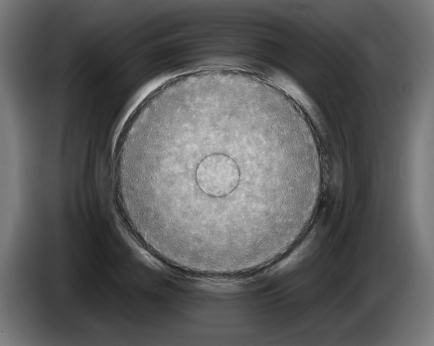 X0000083030836200703022024