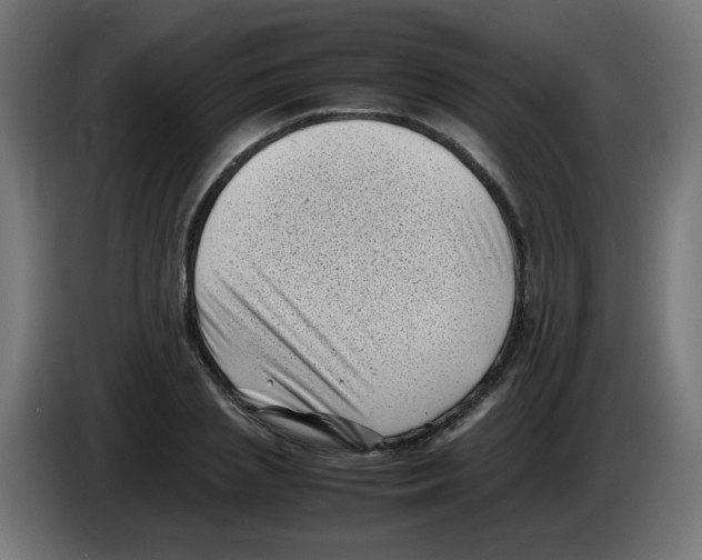 X0000083030837200703022024