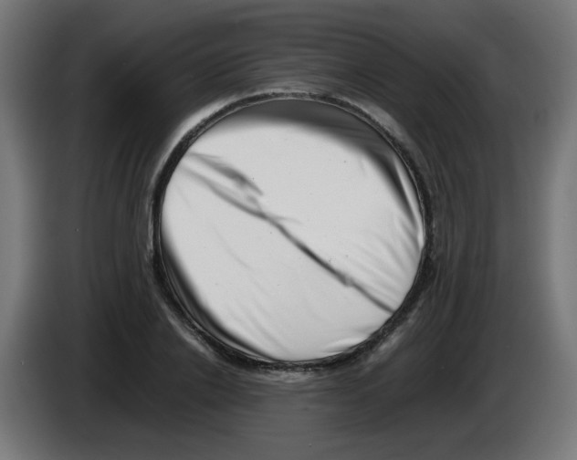 X0000083030838200703022024