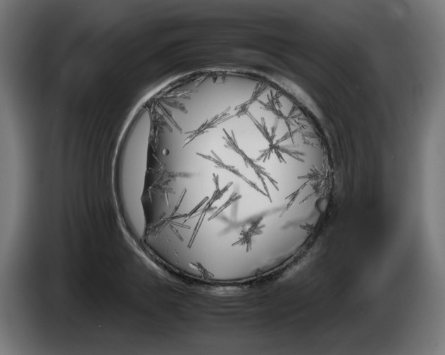 X0000083030839200703022024