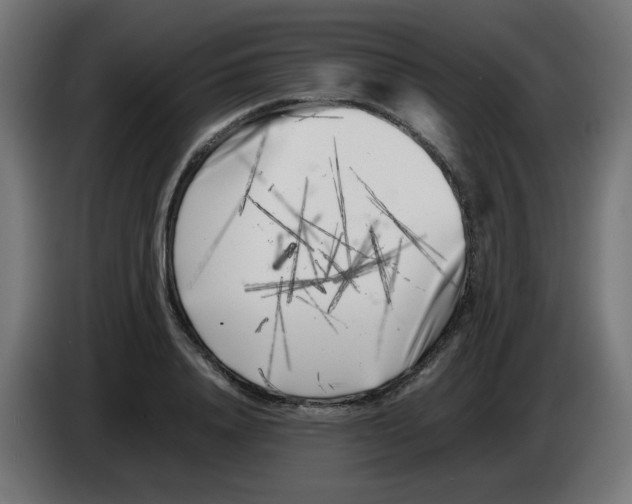 X0000083030840200703022024