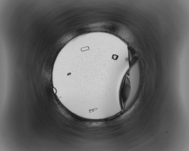 X0000083030841200703022024