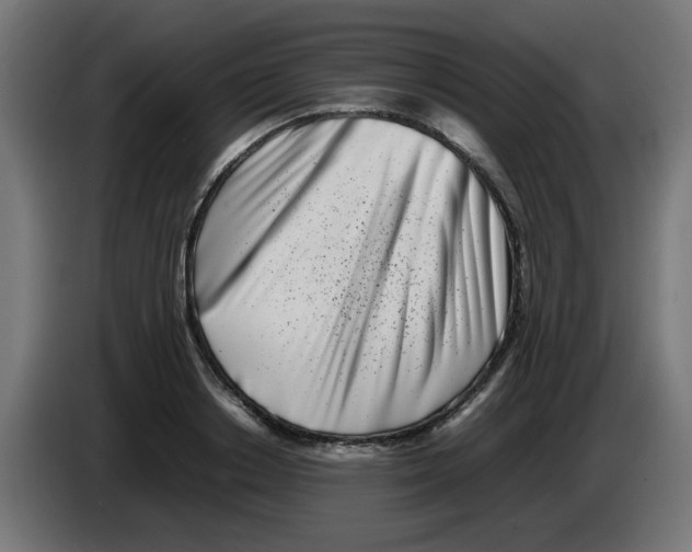 X0000083030842200703022024