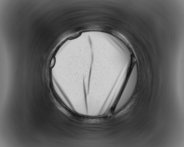 X0000083030843200703022024