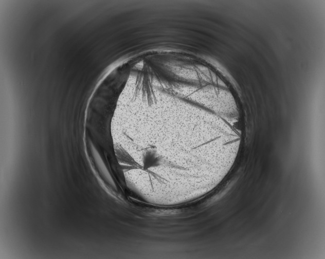 X0000083030845200703022024