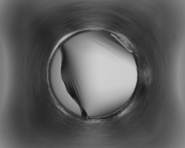 X0000083030846200703022024