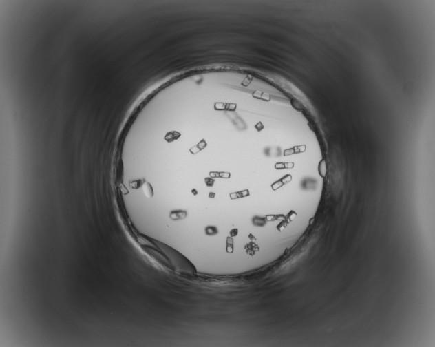 X0000083030847200703022024