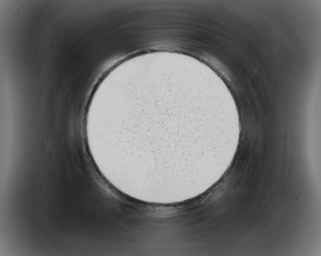 X0000083030848200703022024