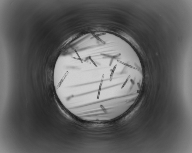 X0000083030849200703022024