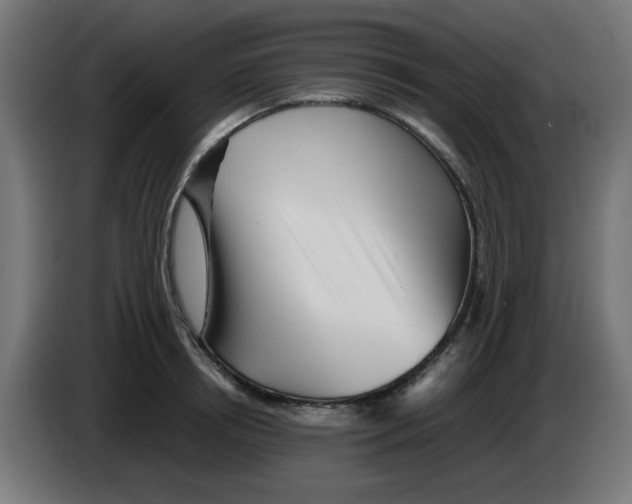 X0000083030850200703022024