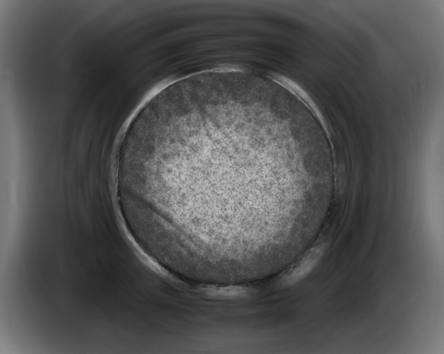 X0000083030851200703022024