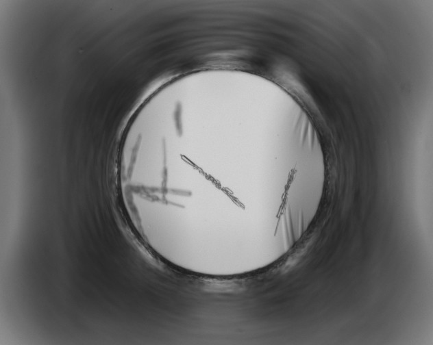 X0000083030852200703022024