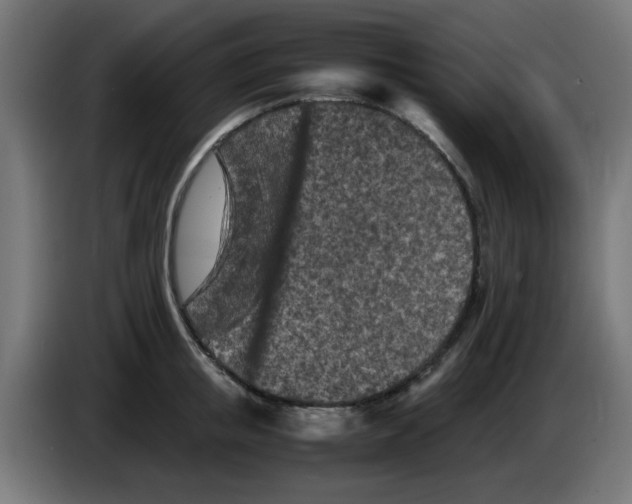 X0000083030853200703022024