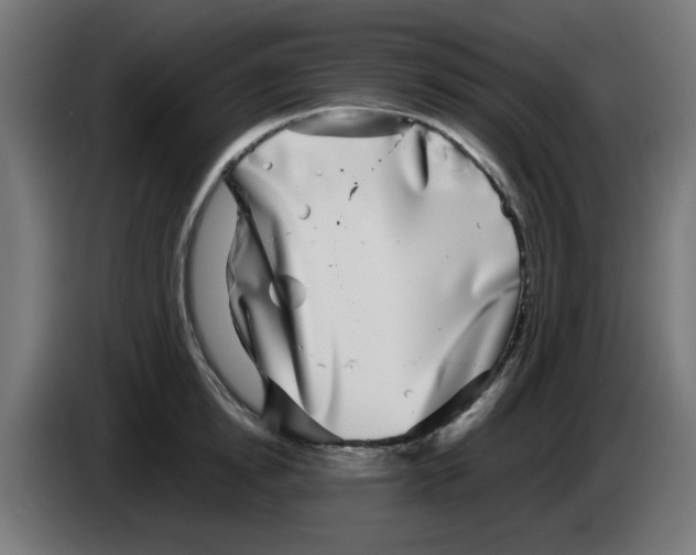 X0000083030854200703022024