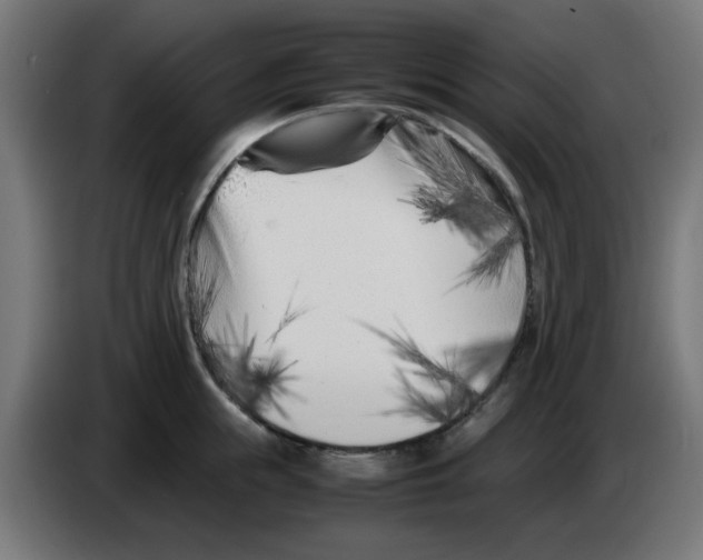 X0000083030855200703022025