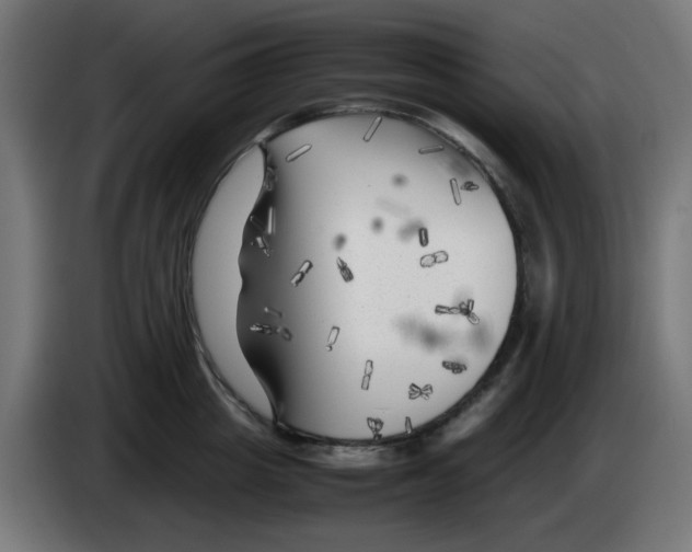 X0000083030857200703022025